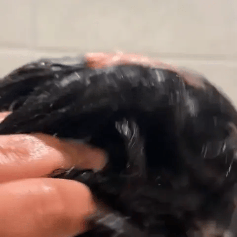 Encabezado